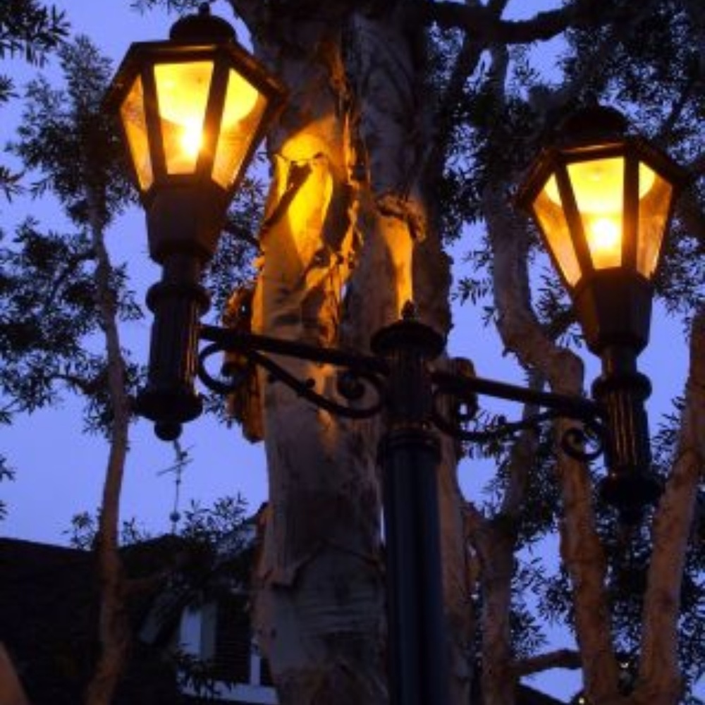 ENCHANTED LIGHTS ~ MOUNTED ON 8" X 10" CANVAS